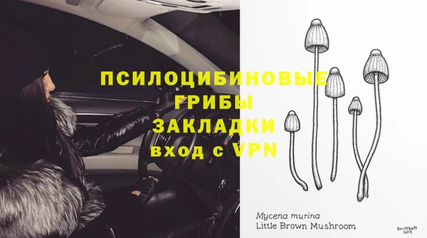 мет Алексин