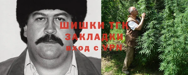 мет Алексин