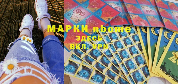 мет Алексин